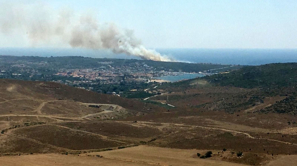 İzmir'de korkutan orman yangını
