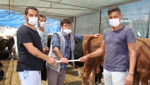 İzmir'de bayrama 1 gün kala kurban hareketliliği arttı