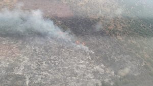 İzmir'de makilik alanda çıkan yangın kontrol altında