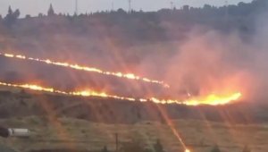 İzmir'de ormanlık alanda yangın