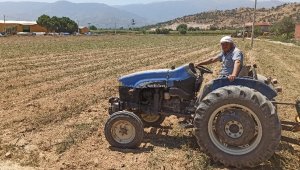 izmir'de Salatalıkta ikinci ekim dönemi!