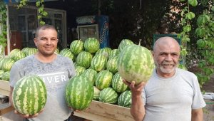 İzmir'de Yerli karpuz tezgahlarda