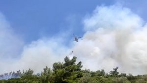 İzmir'deki orman yangını kontrol altına alındı!