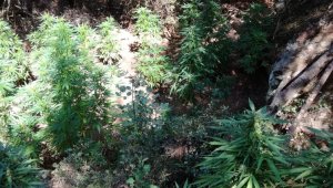 İzmir'in 4 ilçesinde uyuşturucu operasyonu: 4 gözaltı