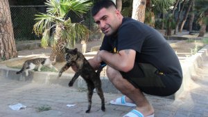 Kediyi ezmemek için motosikletiyle kaza yaptı