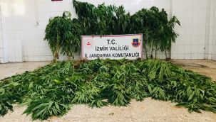 Kemalpaşa'da uyuşturucuya darbe!