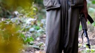 PKK'da çözülme hız kesmeden devam ediyor: Bir terörist daha teslim oldu!