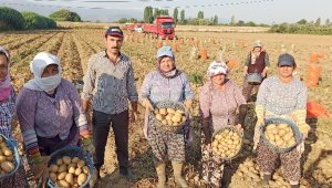 Tarım işçileri korona virüse ve sıcağa rağmen yoğun mesaide
