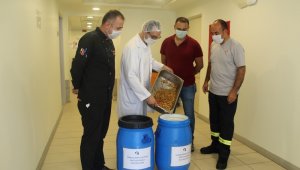 Tüpraş-Aliağa arasında sokak hayvanlarına destek protokolü