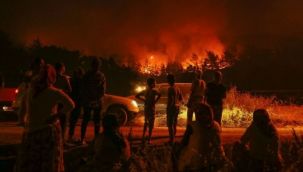 Türkiye’nin 2019 bilançosu: En çok İzmir yandı!