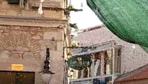 Urla'yı arılar bastı, görenler şaşırdı