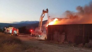 Yangından etkilenen muhabbet kuşlarını itfaiye kurtardı