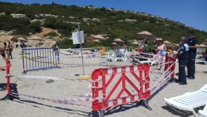 Caretta carettalar yumurtlamak için Urla'yı seçti