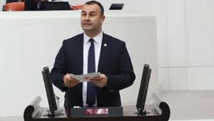 CHP'li Arslan'dan orman yangınları için 'Önlem' çağrısı
