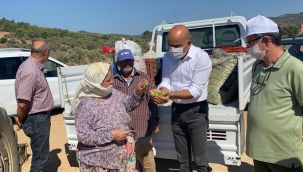 CHP’li Polat: Köylülerimiz emeklerinin, alın terinin karşılığını alamıyor!