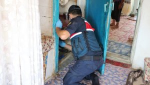 İzmir Jandarmasından narkotik operasyonu