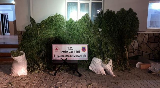 İzmir'de jandarmadan operasyon!