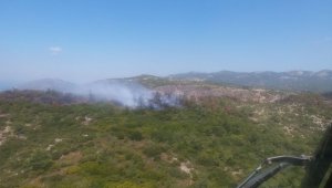 İzmir'de korkutan orman yangını