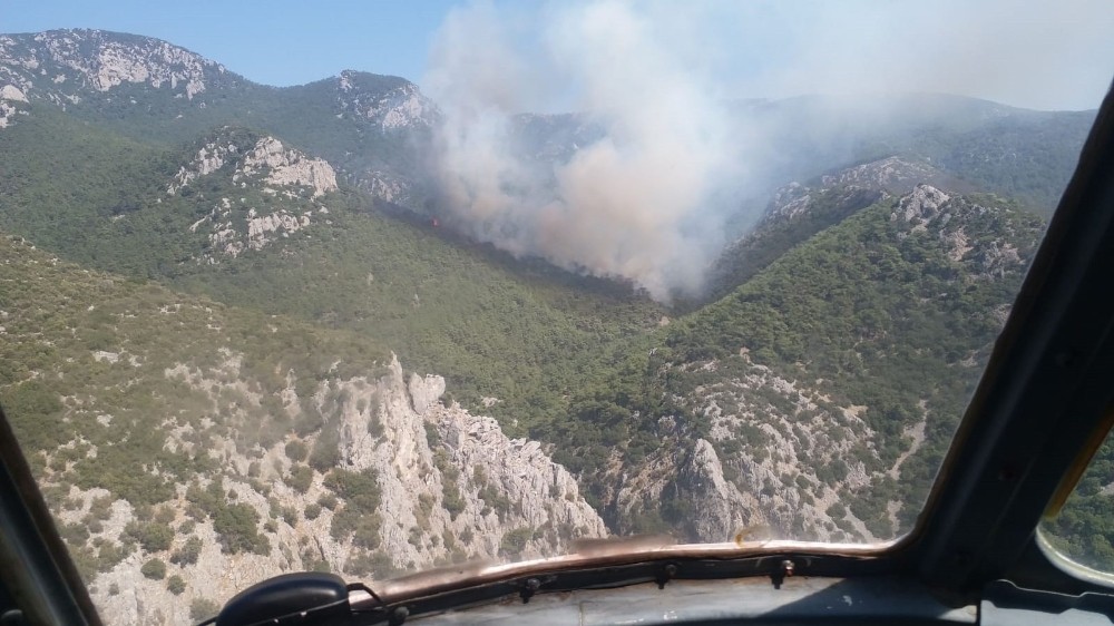 İzmir'de makilik alanda çıkan yangın kontrol altına alındı