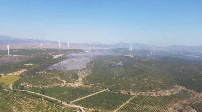 İzmir'de makilik alandaki yangın kontrol altında