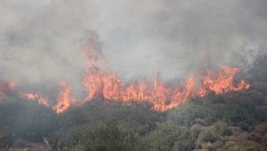 İzmir'de Menderes'in ardından Bornova'da da yangın çıktı