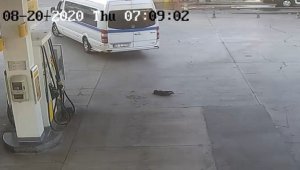 İzmir'de yavru köpeği ezerek öldüren şoför hakkında flaş karar