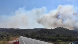 Menderes’teki yangın kontrol altında!