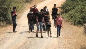 Ormanda kaybolan düzensiz göçmenler kurtarıldı