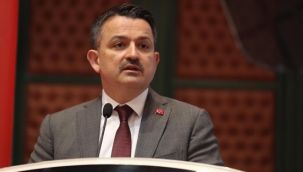 Pakdemirli'den sel felaketi açıklaması: İlk defa böyle büyük bir doğal afet görüyorum