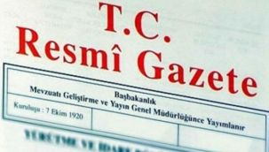 Resmi gazete yayınladı: Cumhurbaşkanı Başdanışmanlığı'na yeni atama!