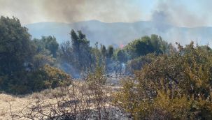 Seferihisar'da makilik alanda yangın paniği!