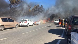 Seferihisar'daki yangın araçlara sıçradı, müdahale sürüyor