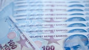 Türk Lirası sert düşüşle dibi gördü