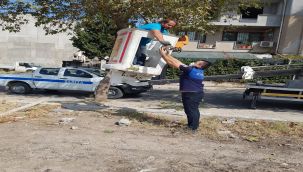 Bornova Zabıtalarından kedi operasyonu