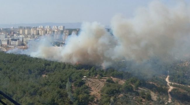 Buca'da ormanlık alanda korkutan yangın!