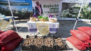Büyükşehirden küçük ölçekli üreticiye destek: Toprağa bereket