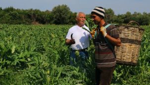 Çeşme Belediyesi ‘Tarla’dan Sofraya Projesi’ ile bir ilke imza attı