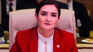 CHP'li Sevda Erdan Kılıç: