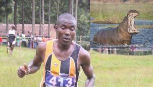 İzmir Maratonu'na hazırlanan atlete su aygırı saldırdı