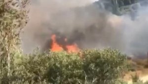 İzmir Urla'da ormanlık alanda yangın paniği