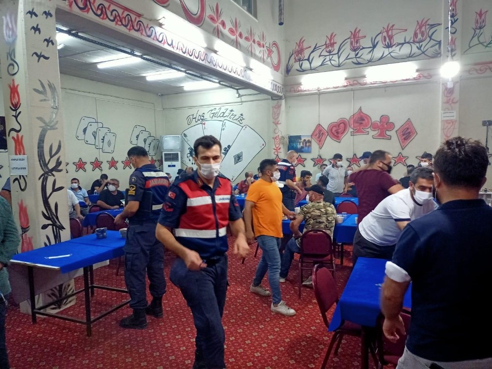 İzmir'de jandarmadan kumar operasyonu: 119 kişiye ceza yağdı