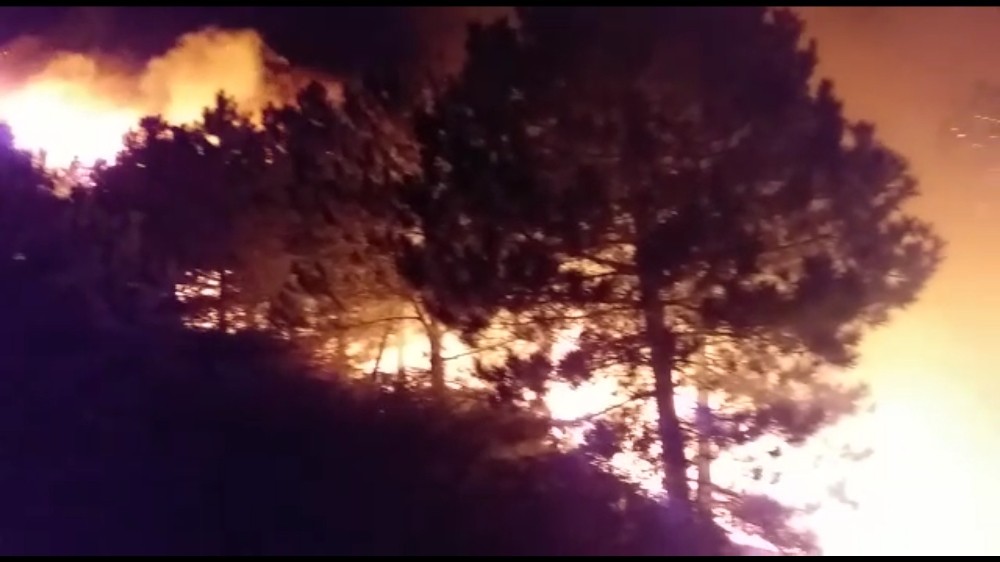 İzmir'de ormanlık alanda çıkan yangın kontrol altında