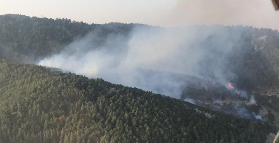 İzmir'de ormanlık alanda yangın paniği
