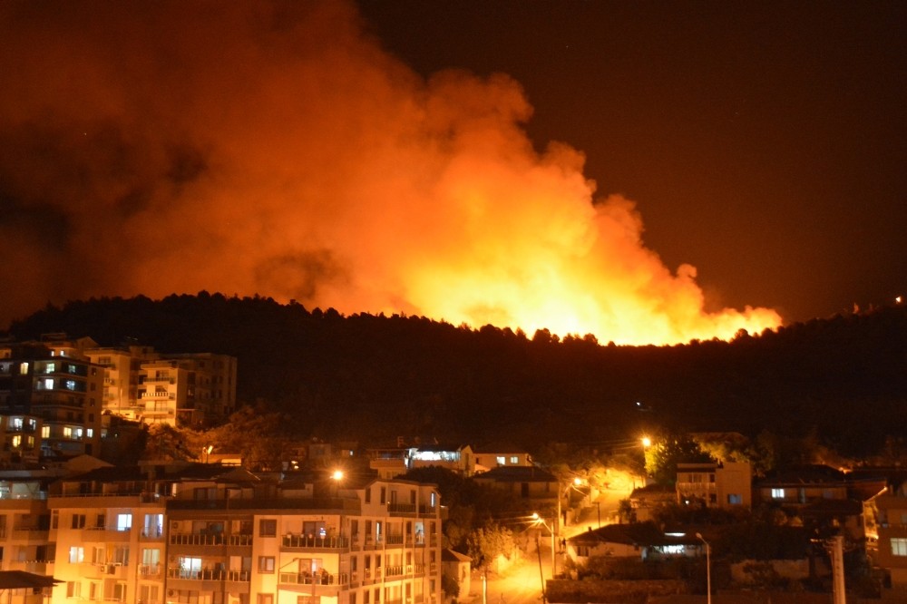 İzmir'deki otluk yangını ile ilgili bir gözaltı