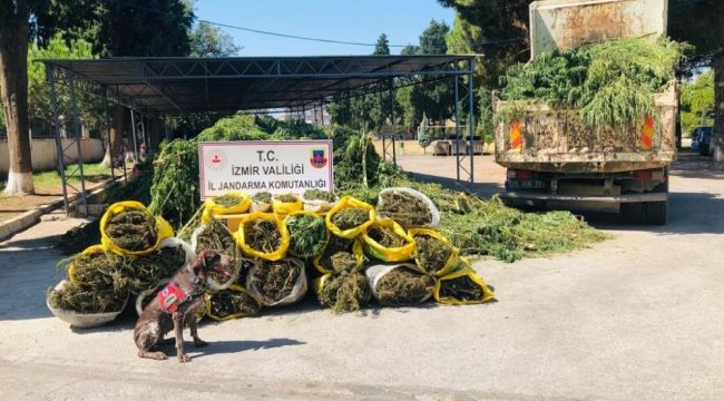 İzmir'deki uyuşturucu operasyonunda 4 gözaltı