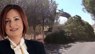 Karaburun'daki ağaç kesimi tepkiler almıştı: Başkan Erdoğan'dan açıklama!