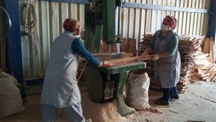 Kereste fabrikasında çalışan kadınlar erkeklere taş çıkartıyor