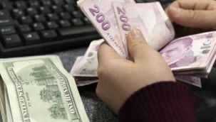 Ünlü ekonomistten flaş uyarı: TL daha fazla değer kaybedebilir