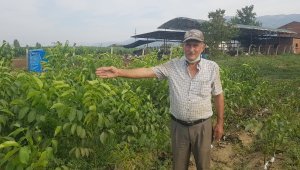 68 yaşında aldığı kurs hayatını değiştirdi, şimdi dünya ülkelerine pazarlıyor