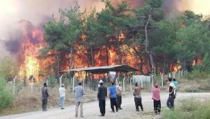 Aynı ilde art arda yangın çıktı: Müdahaleler devam ediyor